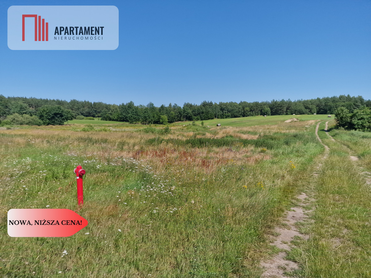 Działka budowlana 8308 m² z WZ | Roztoka |
