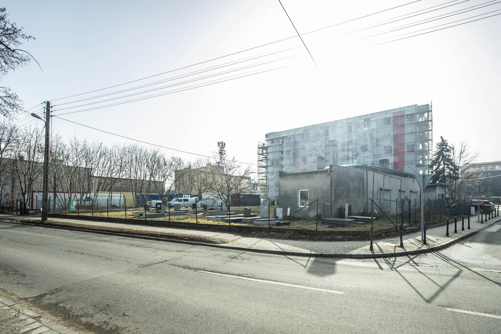 Zdjęcie 11