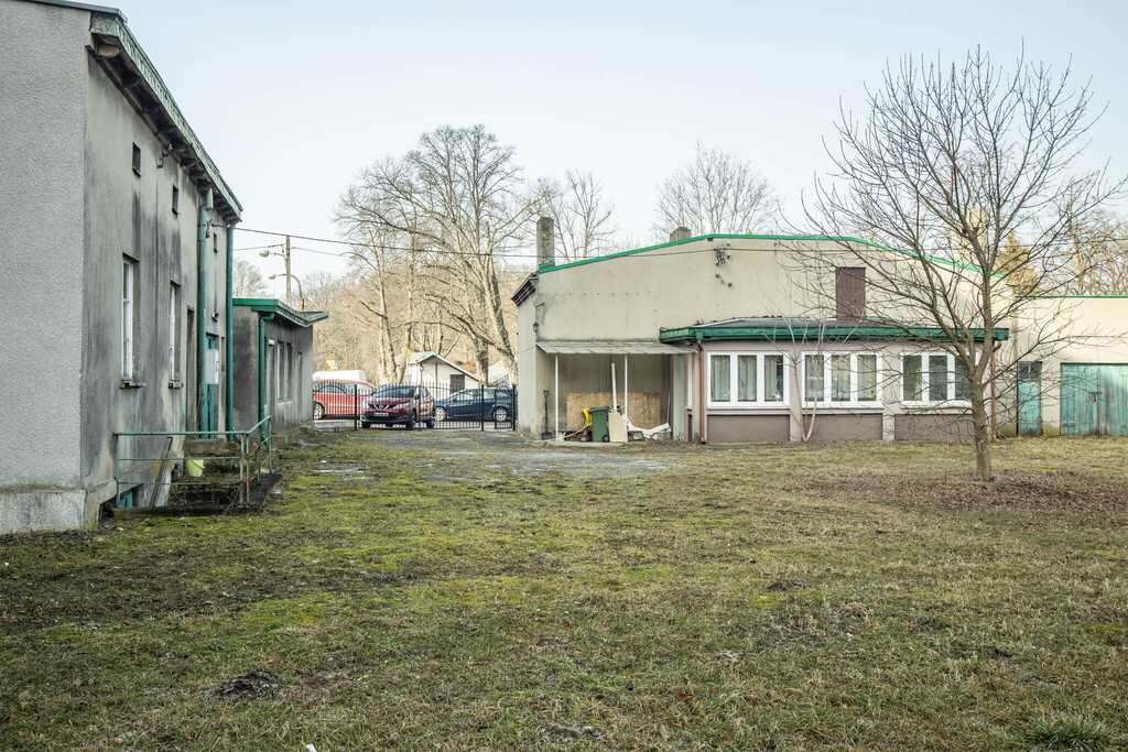 Zdjęcie 12