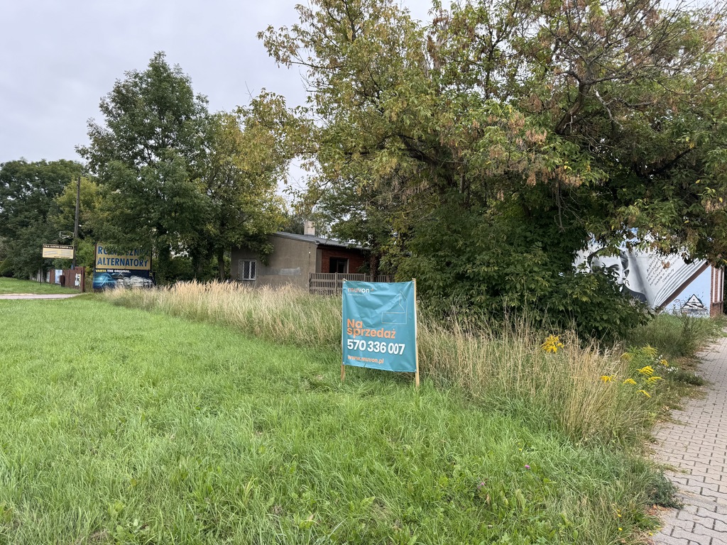 Zdjęcie 2