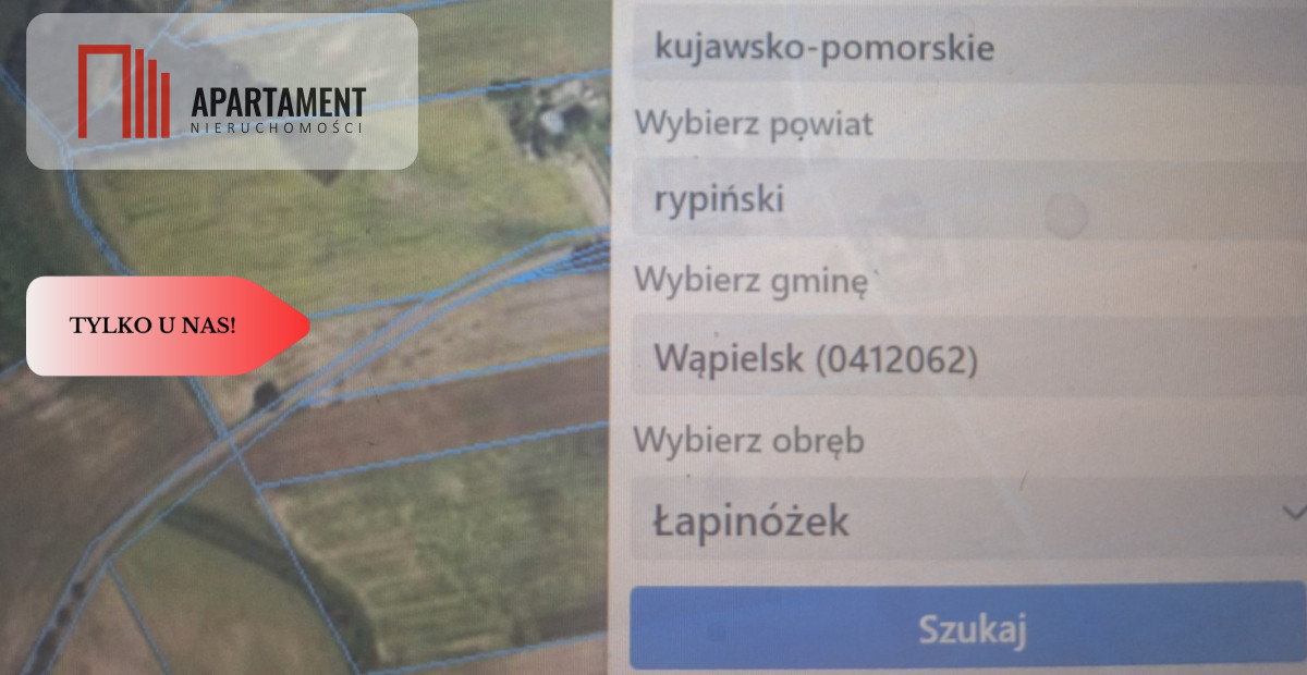 Zdjęcie 5
