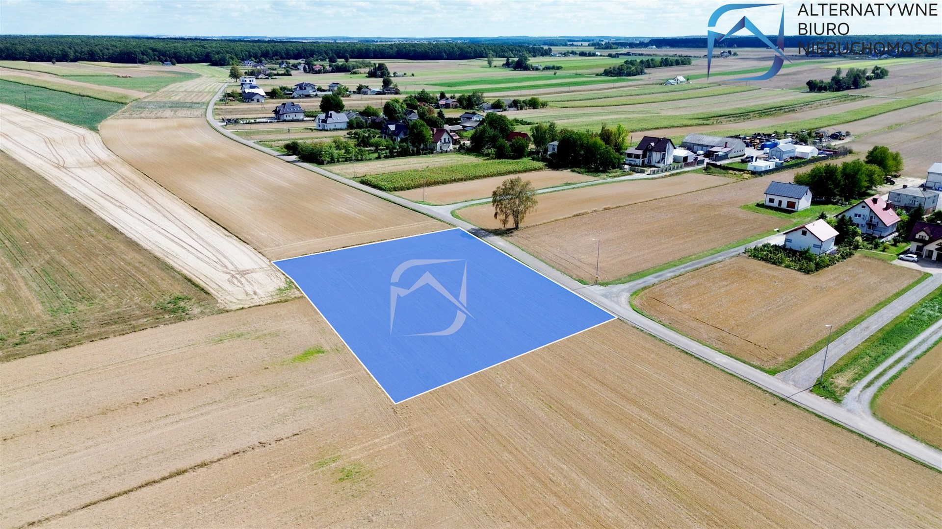 Zdjęcie 10