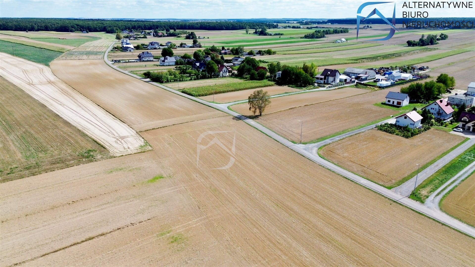 Zdjęcie 11