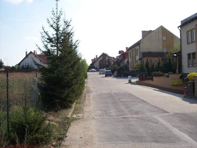 Zdjęcie 2