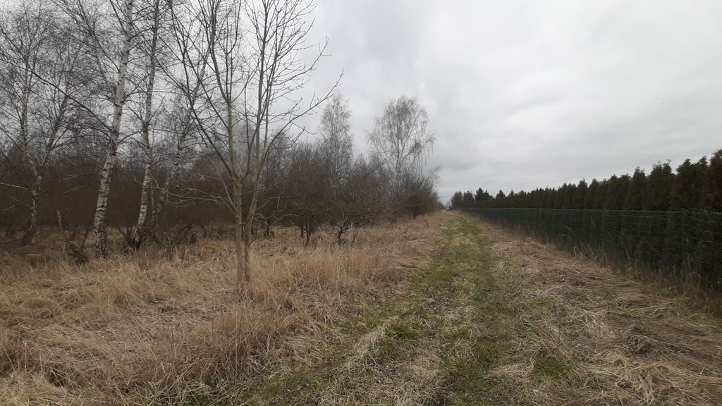 Działka 3000 pod zabudowę siedliskową