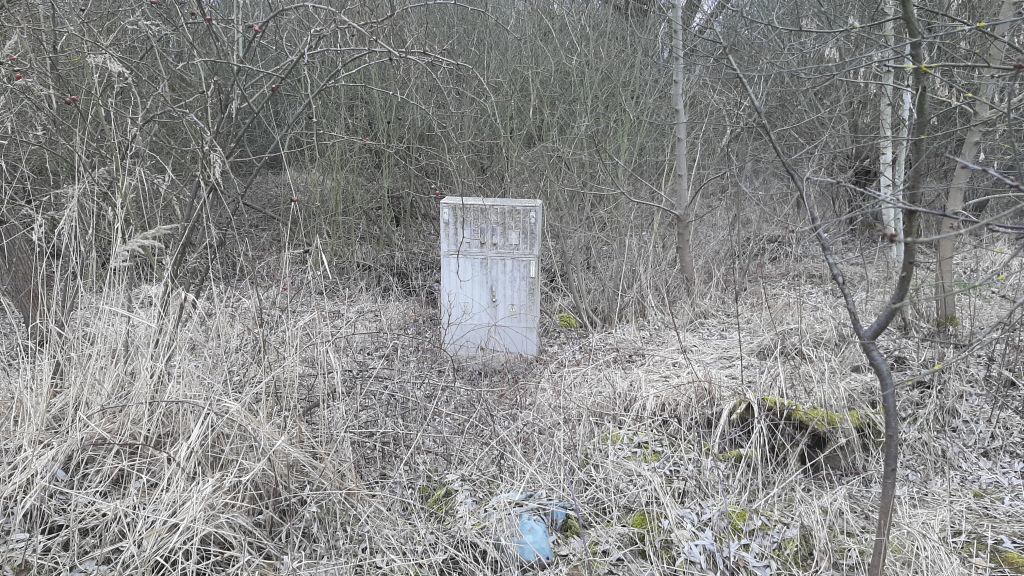 Zdjęcie 7