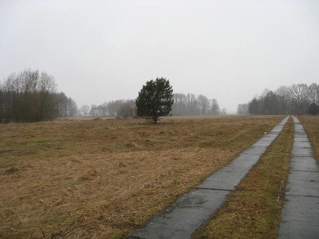 Zdjęcie 11