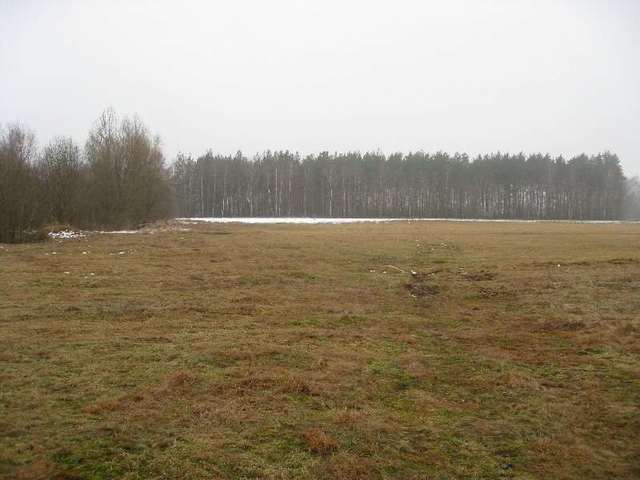 Zdjęcie 14