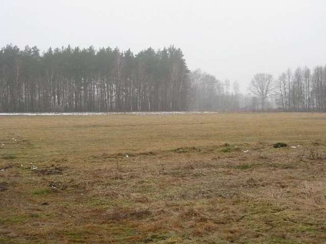 Zdjęcie 15