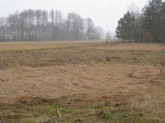 Zdjęcie 16