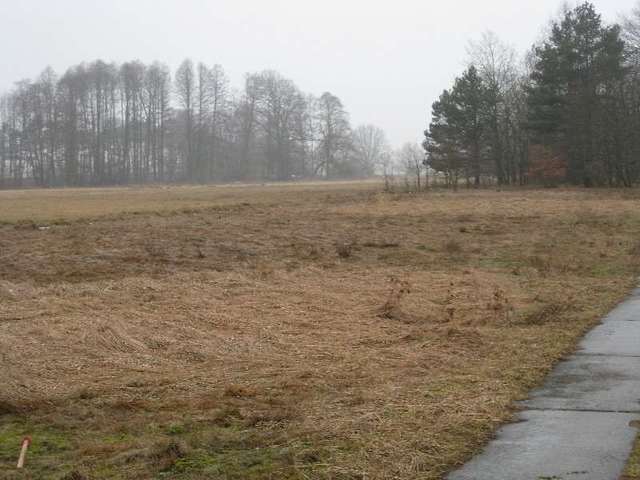 Zdjęcie 17