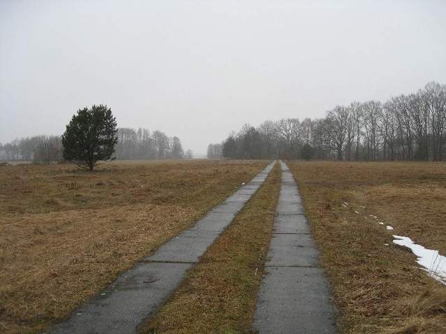 Zdjęcie 18