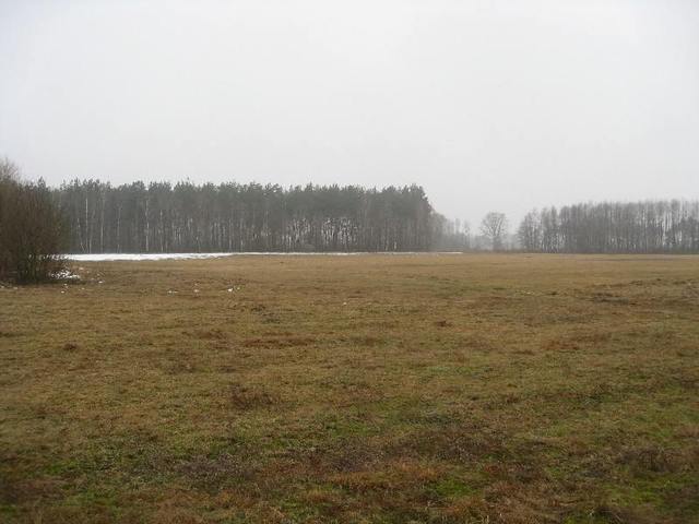 Zdjęcie 10