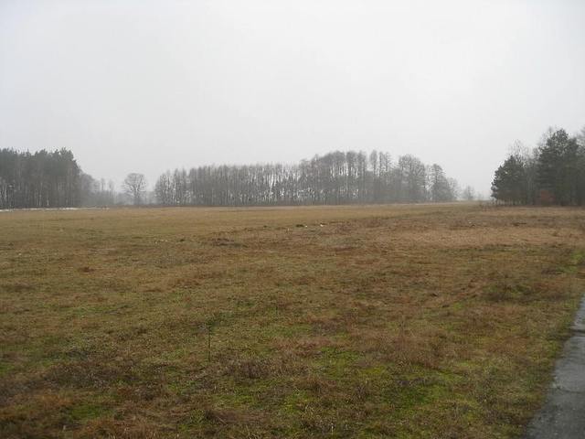 Zdjęcie 11