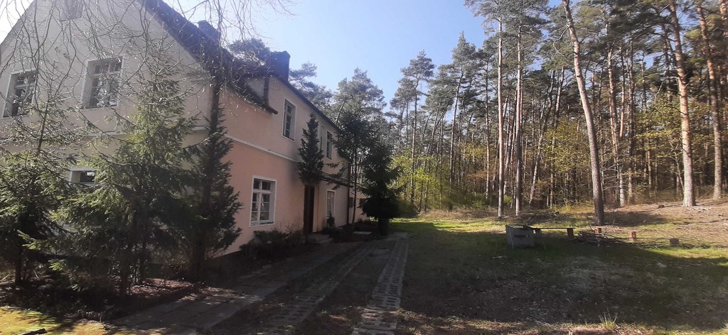 Zdjęcie 13