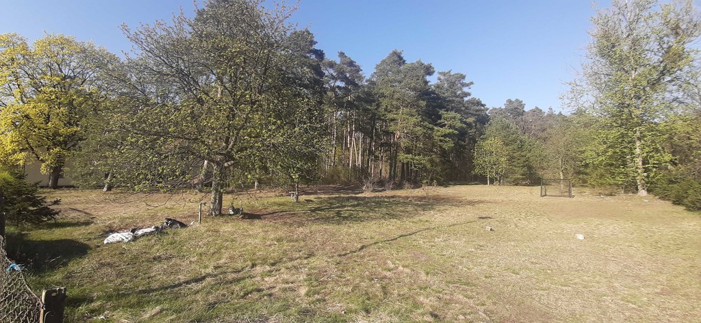Zdjęcie 18