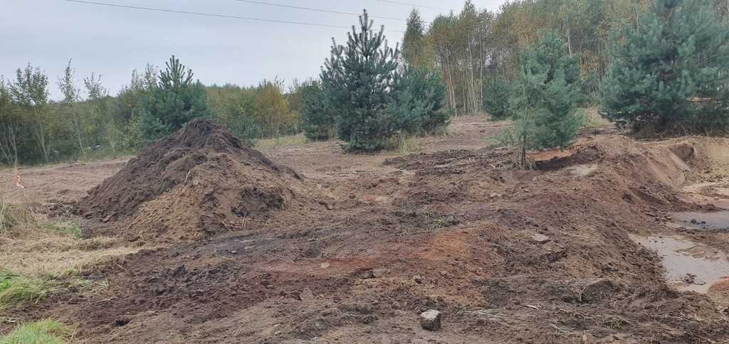 Zdjęcie 11