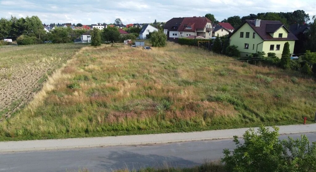 Zdjęcie 2