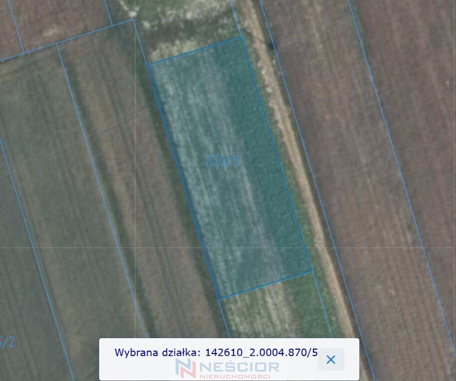 Zdjęcie 5