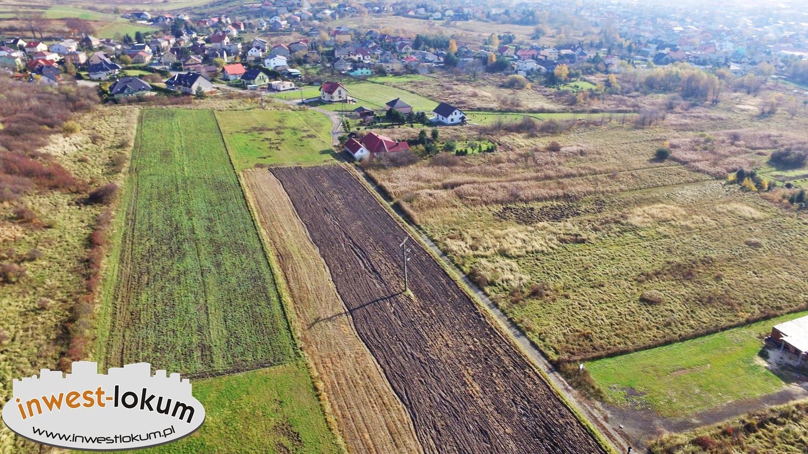 Zdjęcie 12