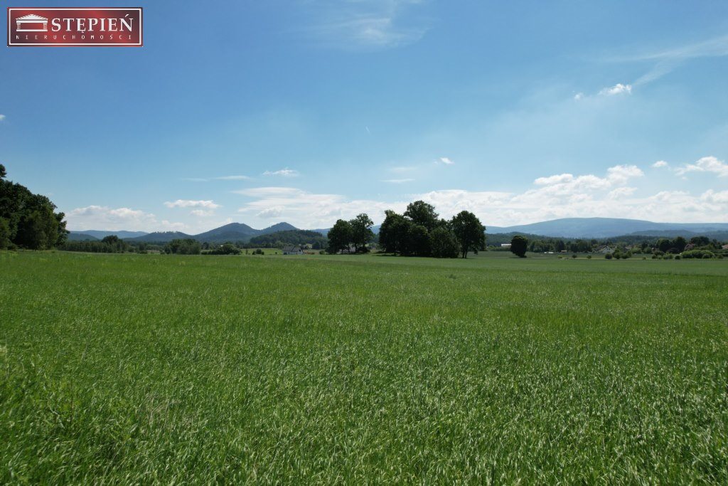 Działka budowlana 4 137 m², Łomnica
