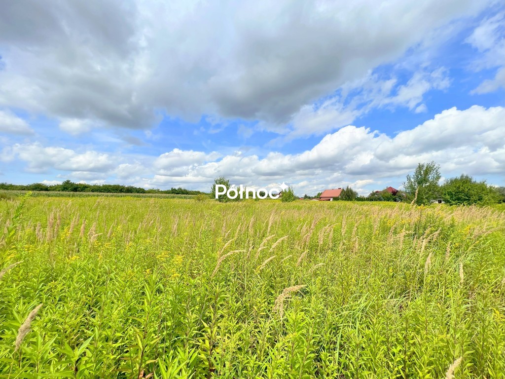1,30ha, Bielawa, Długołęka