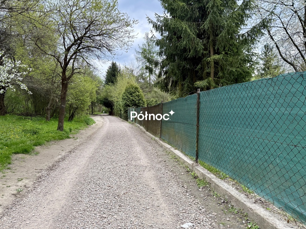 Zdjęcie 6