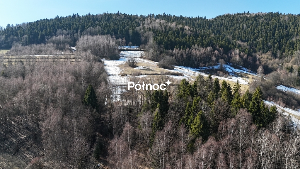 Zdjęcie 3