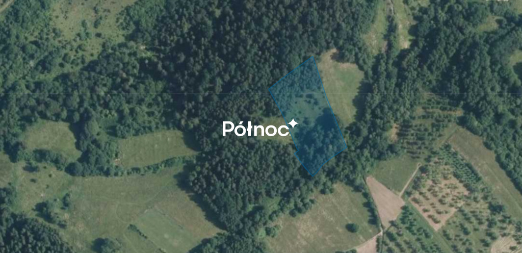 Zdjęcie 7