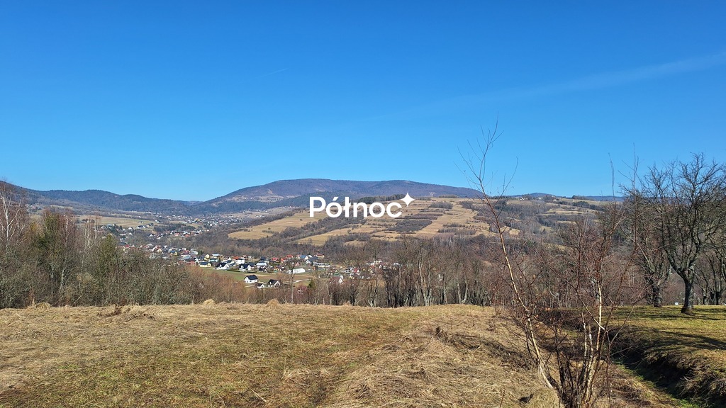 Zdjęcie 8