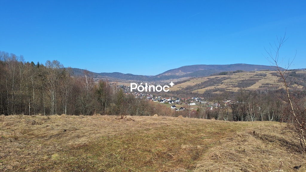 Zdjęcie 9