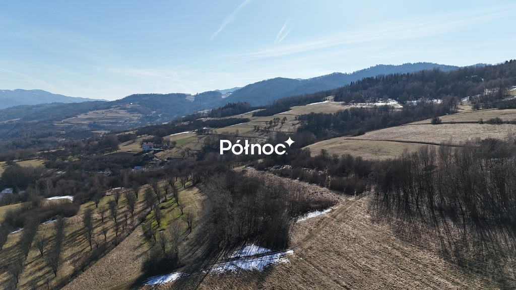Zdjęcie 11