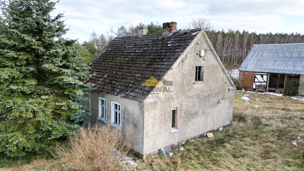Zdjęcie 15