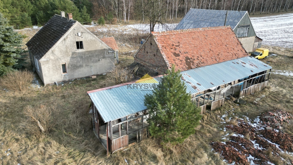Zdjęcie 19