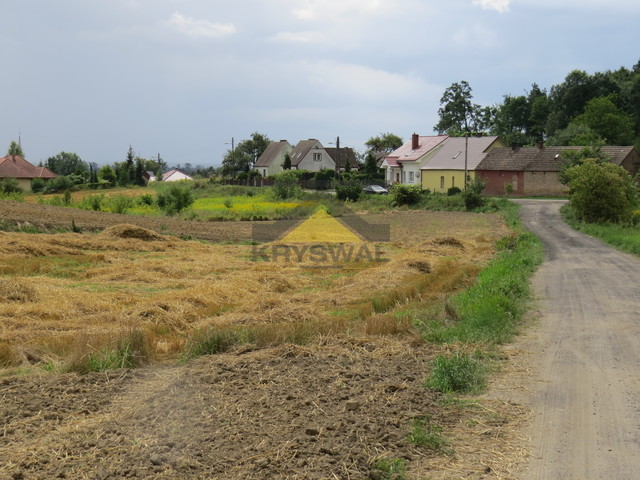 Zdjęcie 7