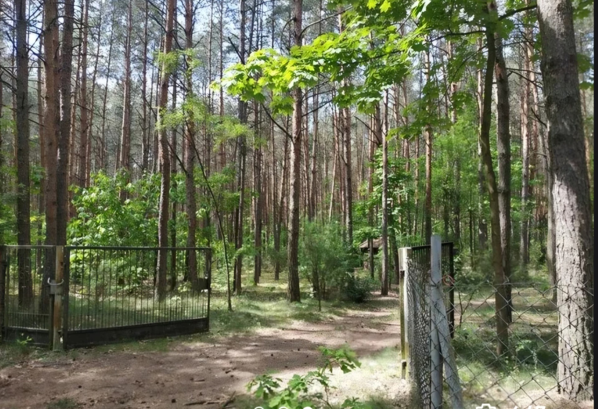 Leśna działka pod dom całoroczny. MPZP, woda i prąd przy działce