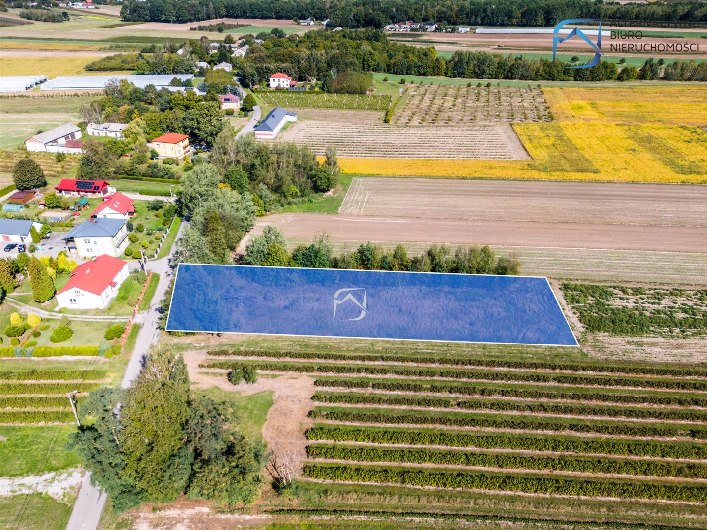 Zdjęcie 14