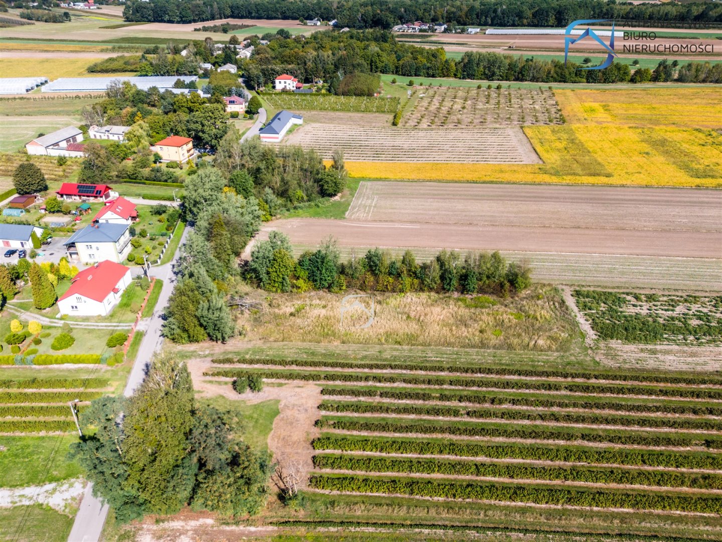 Zdjęcie 15