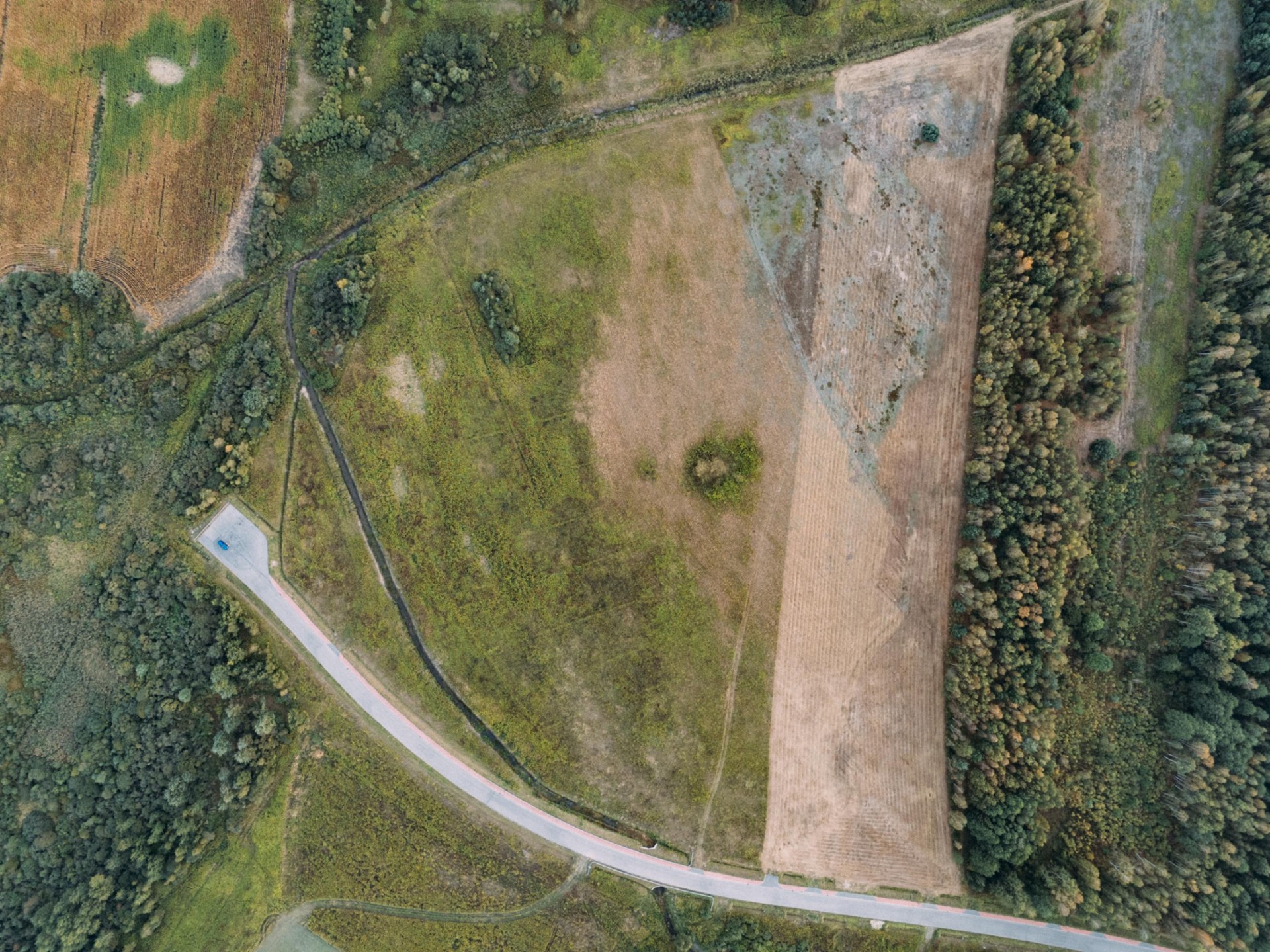 Zdjęcie 19