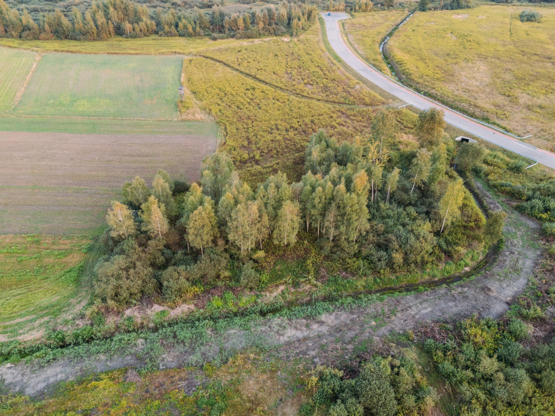 Zdjęcie 31