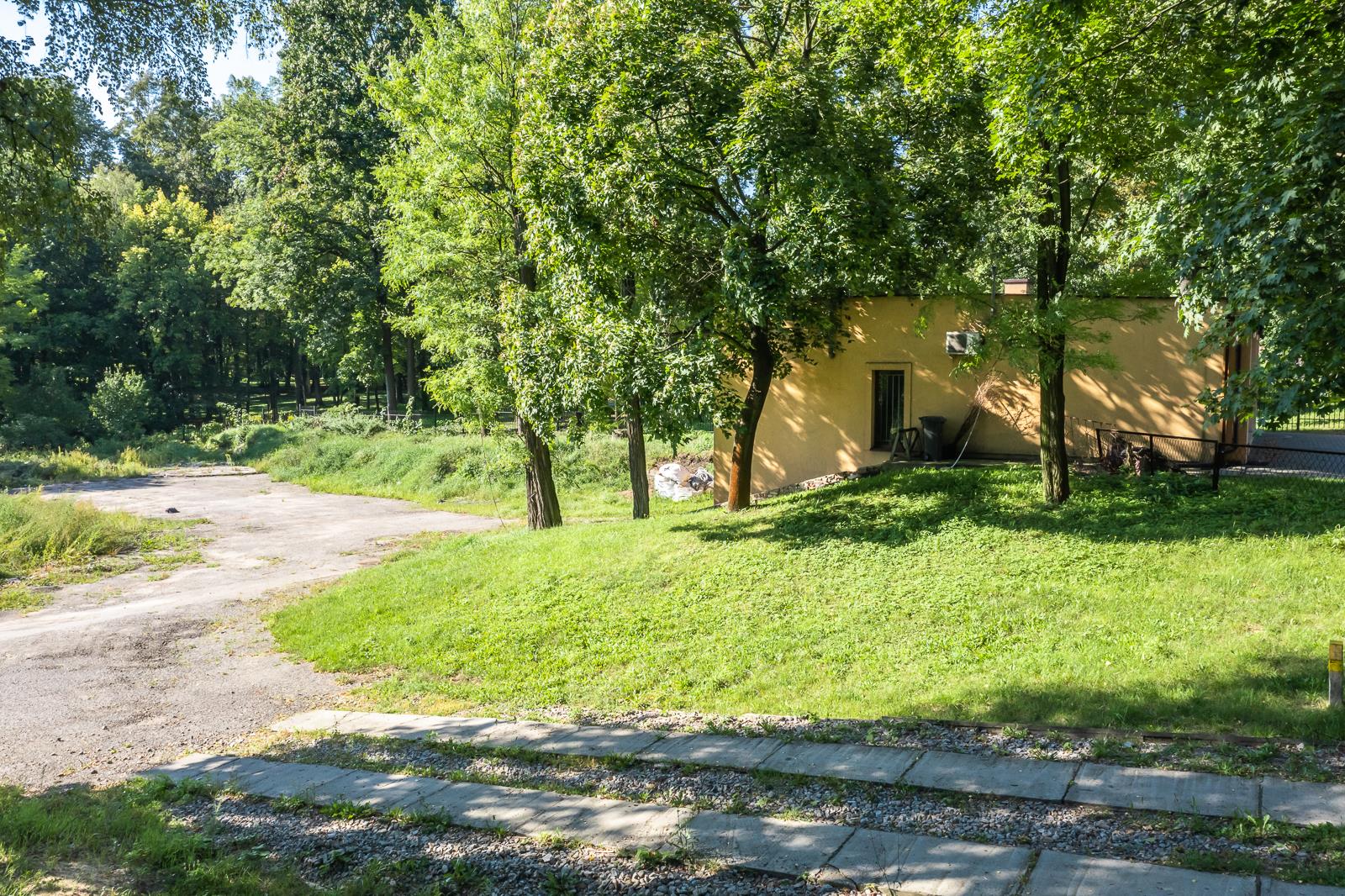 Zdjęcie 10