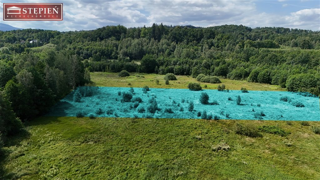 Zdjęcie 11