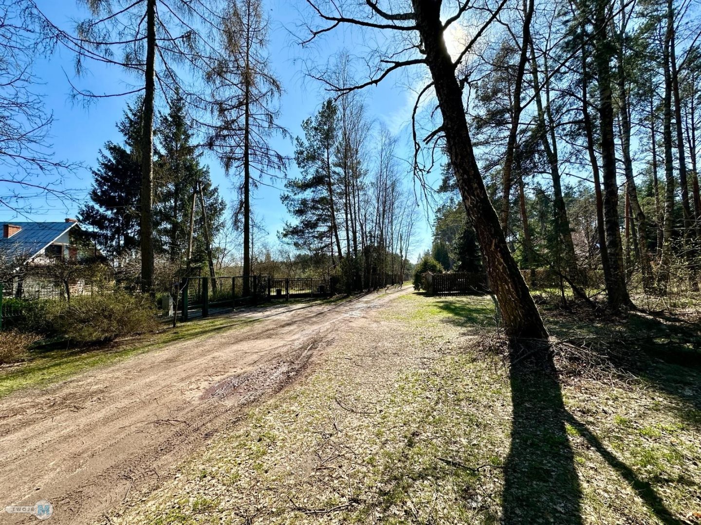Zdjęcie 5