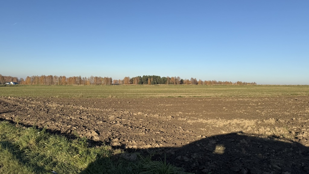 Zdjęcie 8