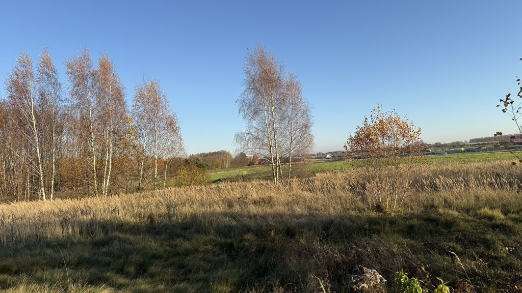 Zdjęcie 10