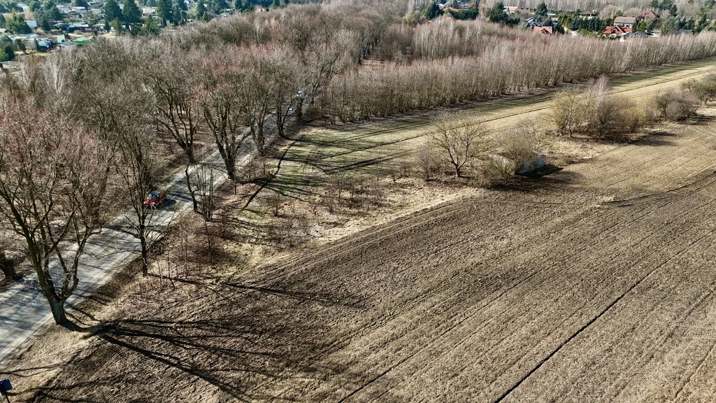 Zdjęcie 10