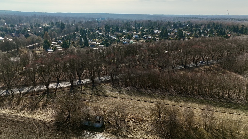Zdjęcie 17