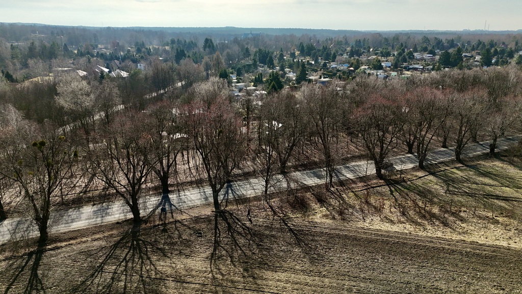 Zdjęcie 18