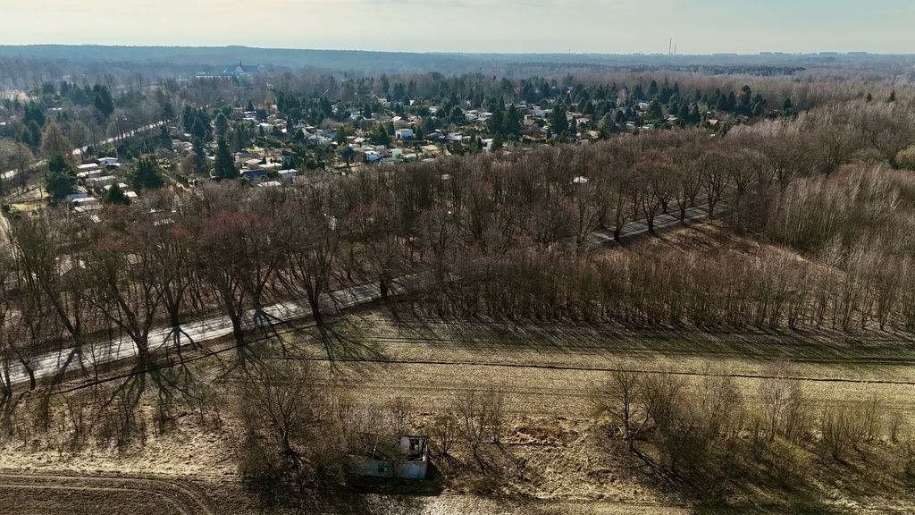 Zdjęcie 19