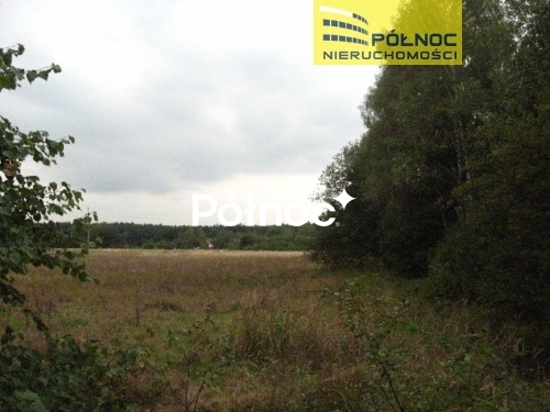 Działka KOMERCYJNA – BUKOWNO